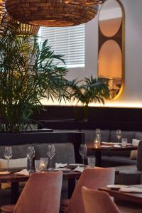 hotel greystone adults only