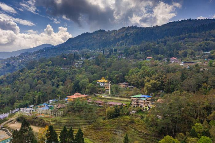 zostel homes pedong kalimpong