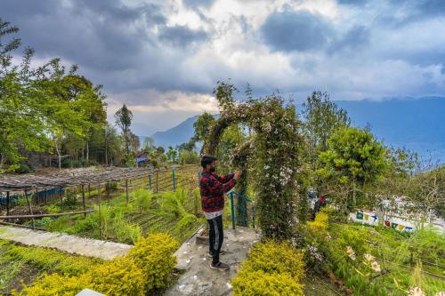 zostel homes pedong kalimpong
