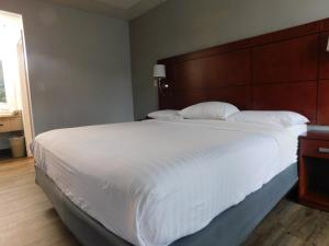 park view inn