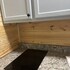 steinhatchee