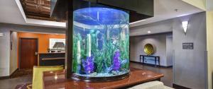 Hampton Inn & Suites Corpus Christi I-37 - Navigation Blvd,Nueces>>Corpus Christi,3 star