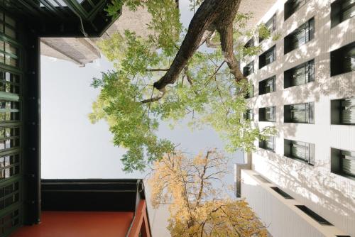 boho budapest small luxury hotels