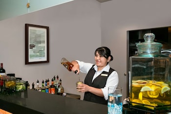 embassy suites by hilton chicago downtown river north