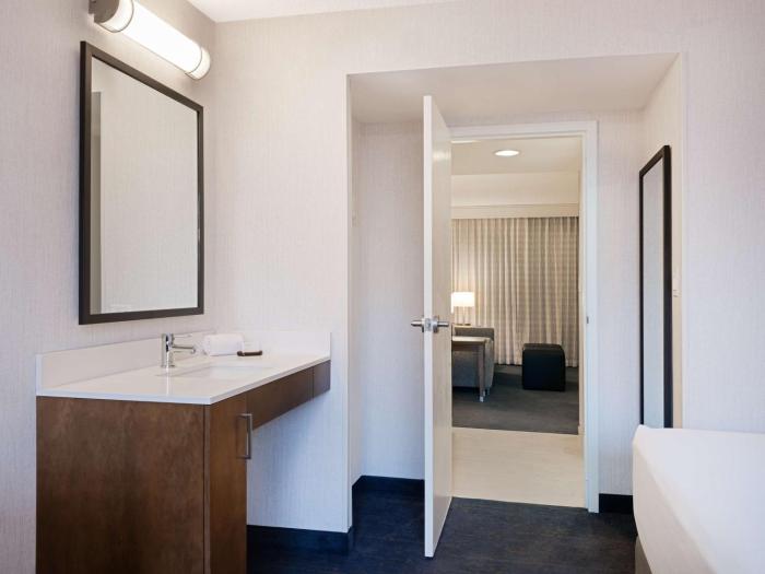 embassy suites by hilton chicago downtown river north