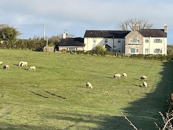 ty dderw country inn