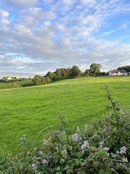 ty dderw country inn