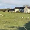 moelfre