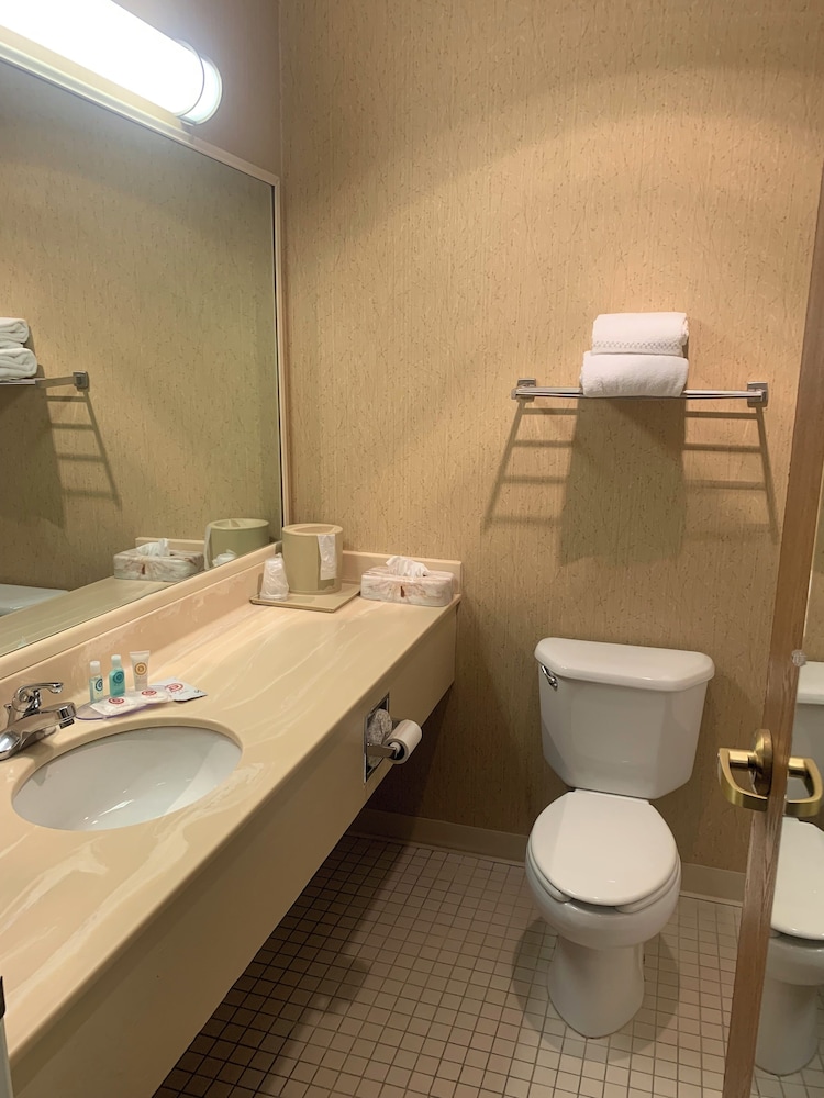 hampton inn chelsea mi