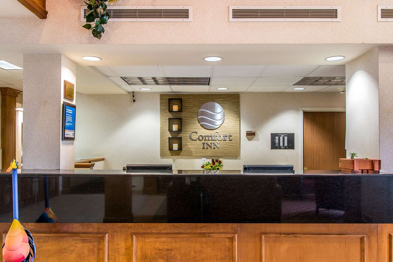 hampton inn chelsea mi