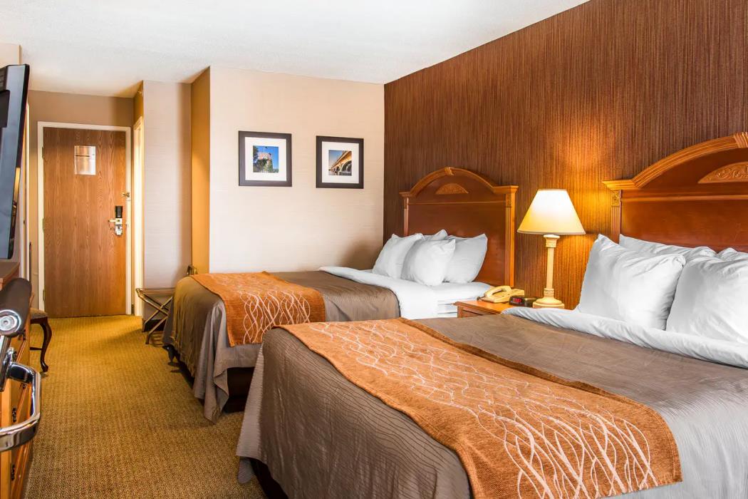 hampton inn chelsea mi