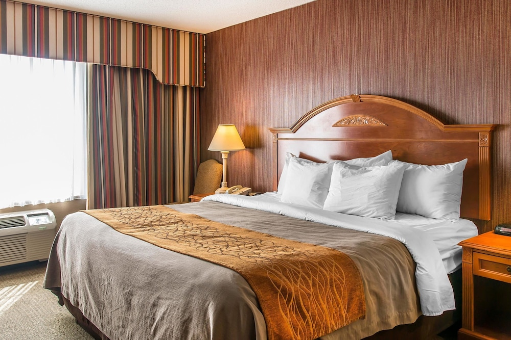 hampton inn chelsea mi