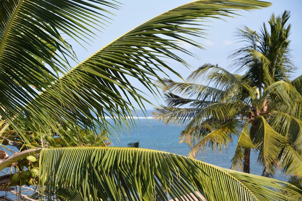 neptune beach resort
