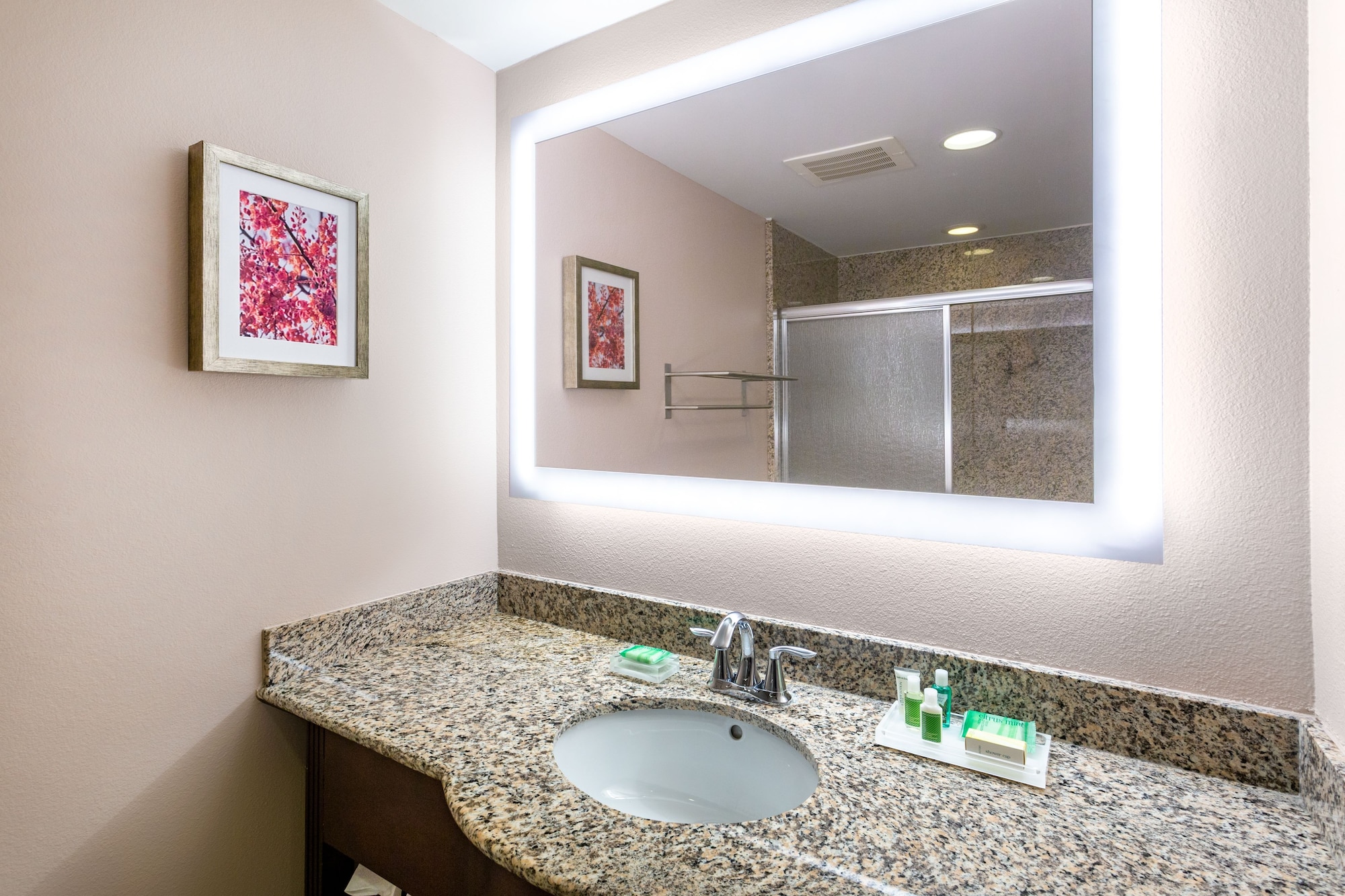 holiday inn winter haven by ihg