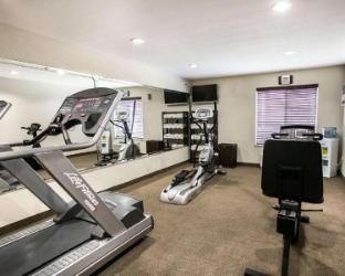 spark by hilton killeen