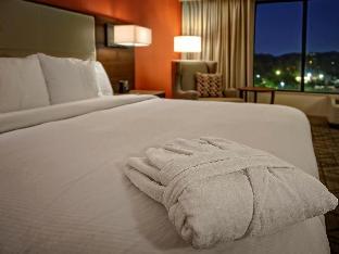 hilton knoxville airport