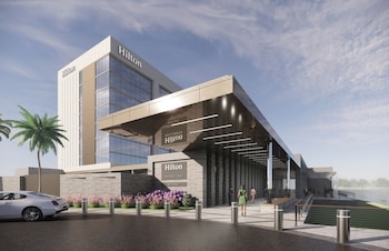 hilton jacksonville at mayo clinic