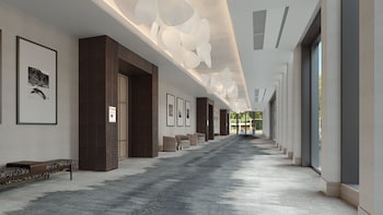 hilton jacksonville at mayo clinic