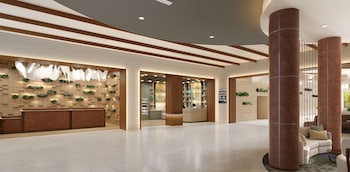 Hilton Jacksonville At Mayo Clinic,,5 star