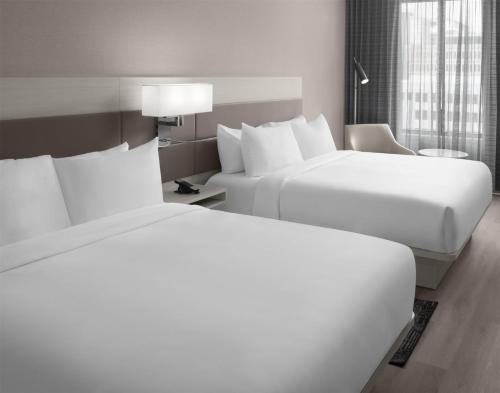 hilton jacksonville at mayo clinic