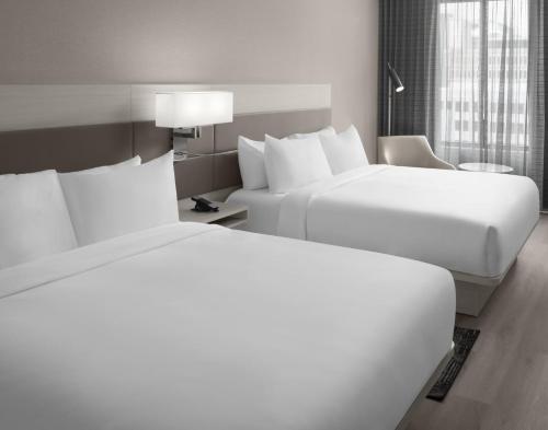 hilton jacksonville at mayo clinic