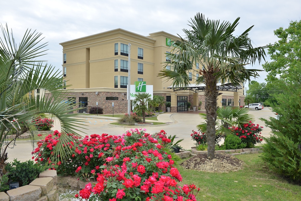holiday inn montgomery airport south by ihg