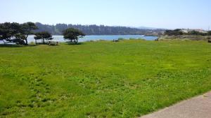 waldport