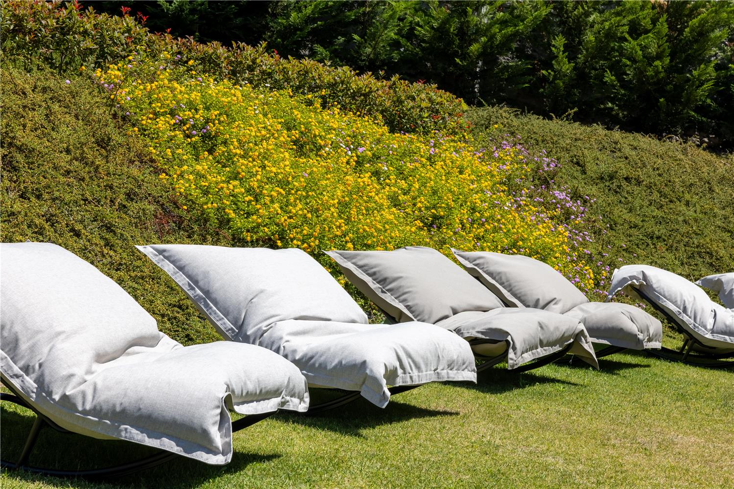 cenica porto hotel curio collection by hilton