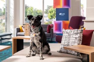 aloft mountain view
