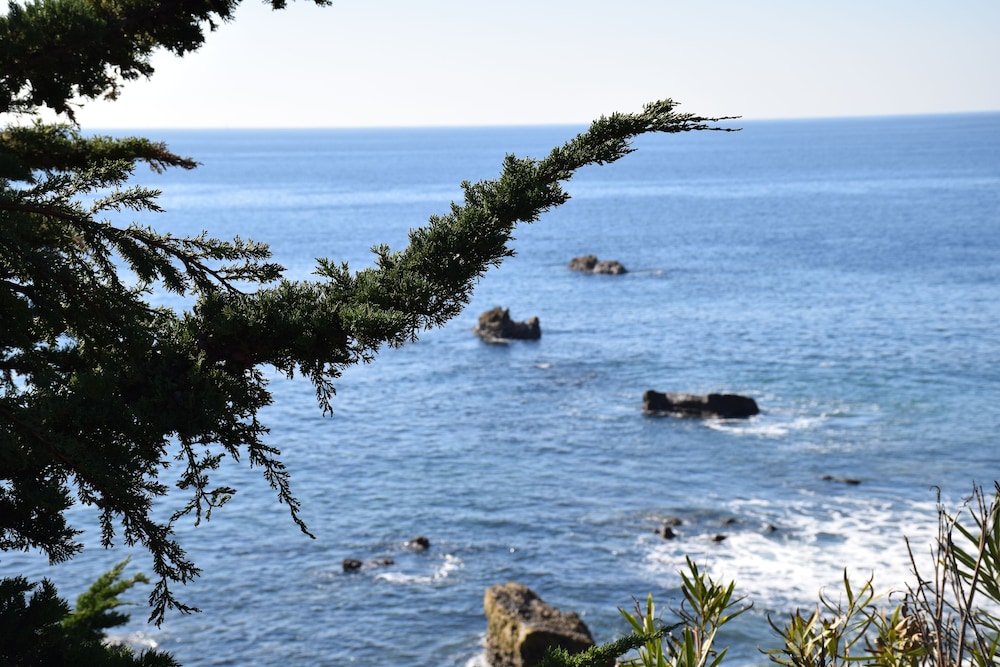 laguna shores studio suites