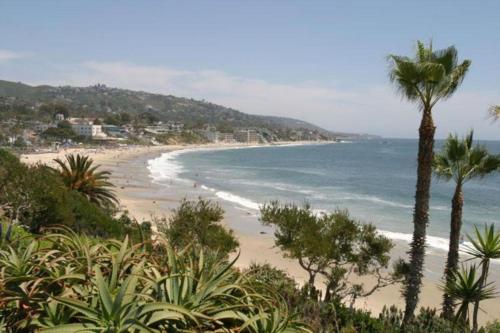 laguna shores studio suites