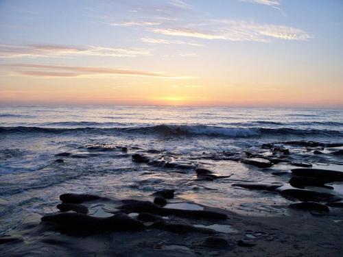 laguna shores studio suites