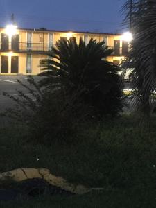 Hope Inn,Tifton>>Lenox,2 star