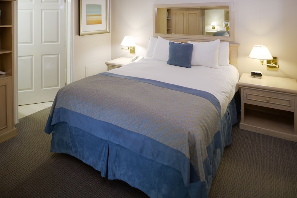 hilton vacation club riviera beach and shores