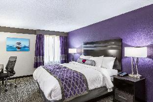 spark by hilton knoxville north i 75
