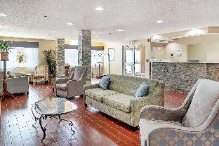 quality inn and suites