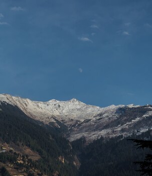 the whitestone inn and suites manali