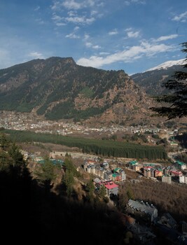 the whitestone inn and suites manali
