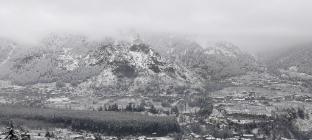 the whitestone inn and suites manali