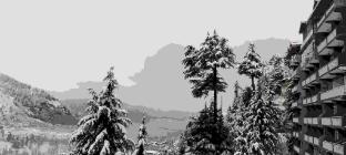 the whitestone inn and suites manali