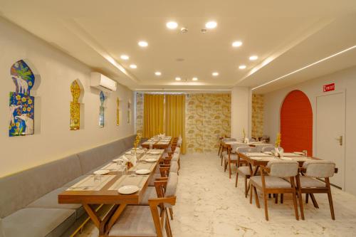 alokah kashi