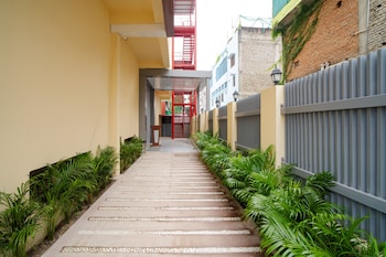 alokah kashi