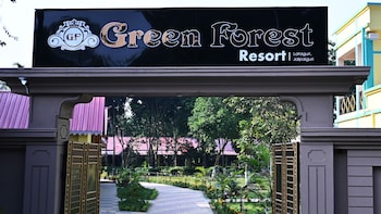 green forest resort