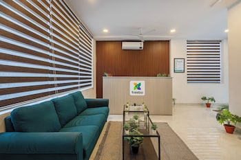 treebo de alphabet gachibowli