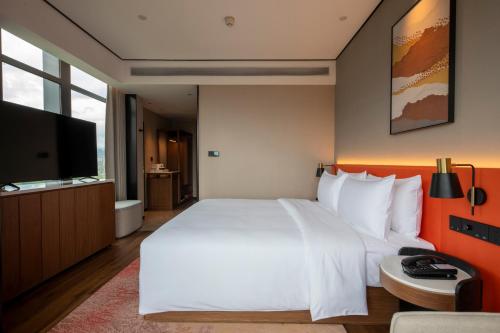 hilton garden inn xingyi wanfenglin