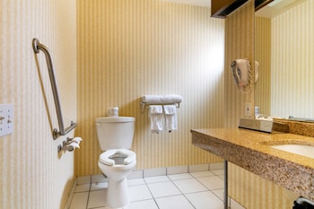 econo lodge inn and suites