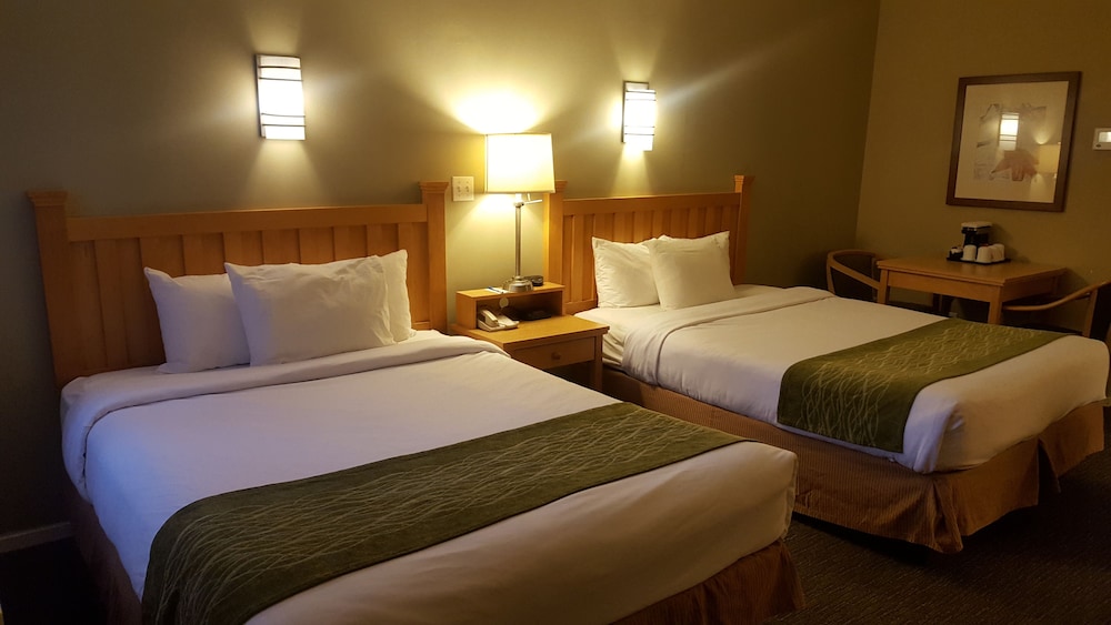 econo lodge inn and suites