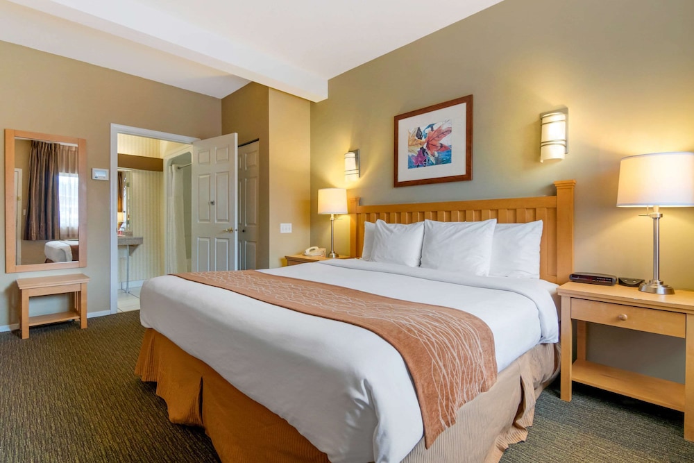 econo lodge inn and suites