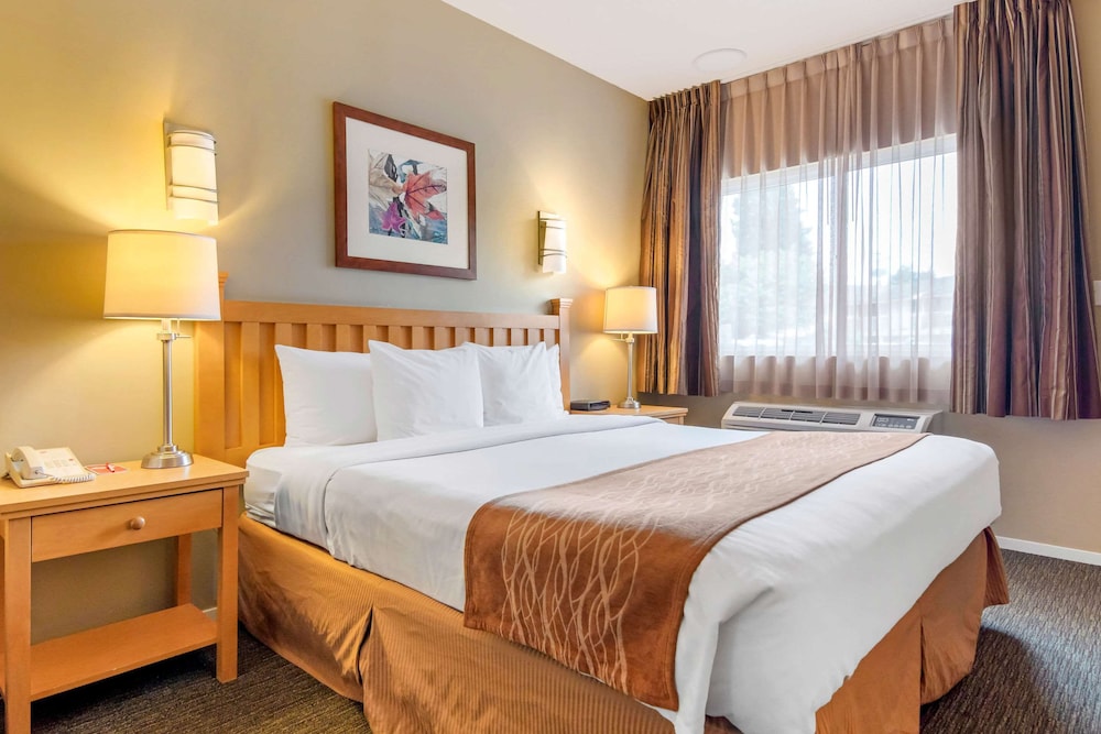 econo lodge inn and suites