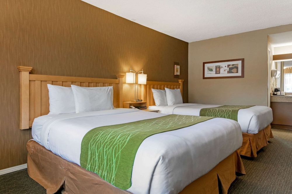 econo lodge inn and suites